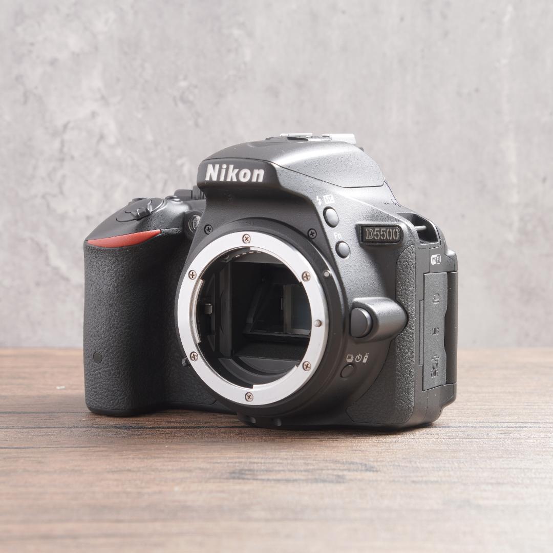 ✨ショット数4405回で美品✨Wi-Fi✨Nikon D5500　875-1