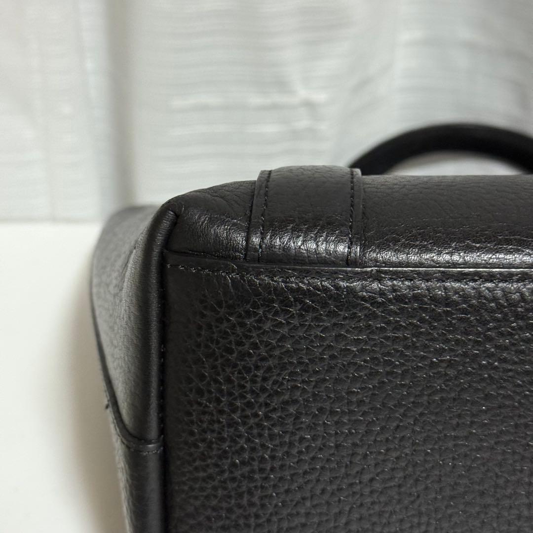 ⭐️極美品⭐️ ペッレモルビダ　テーラマリーナ　ブラック　ミニトート　シボ革