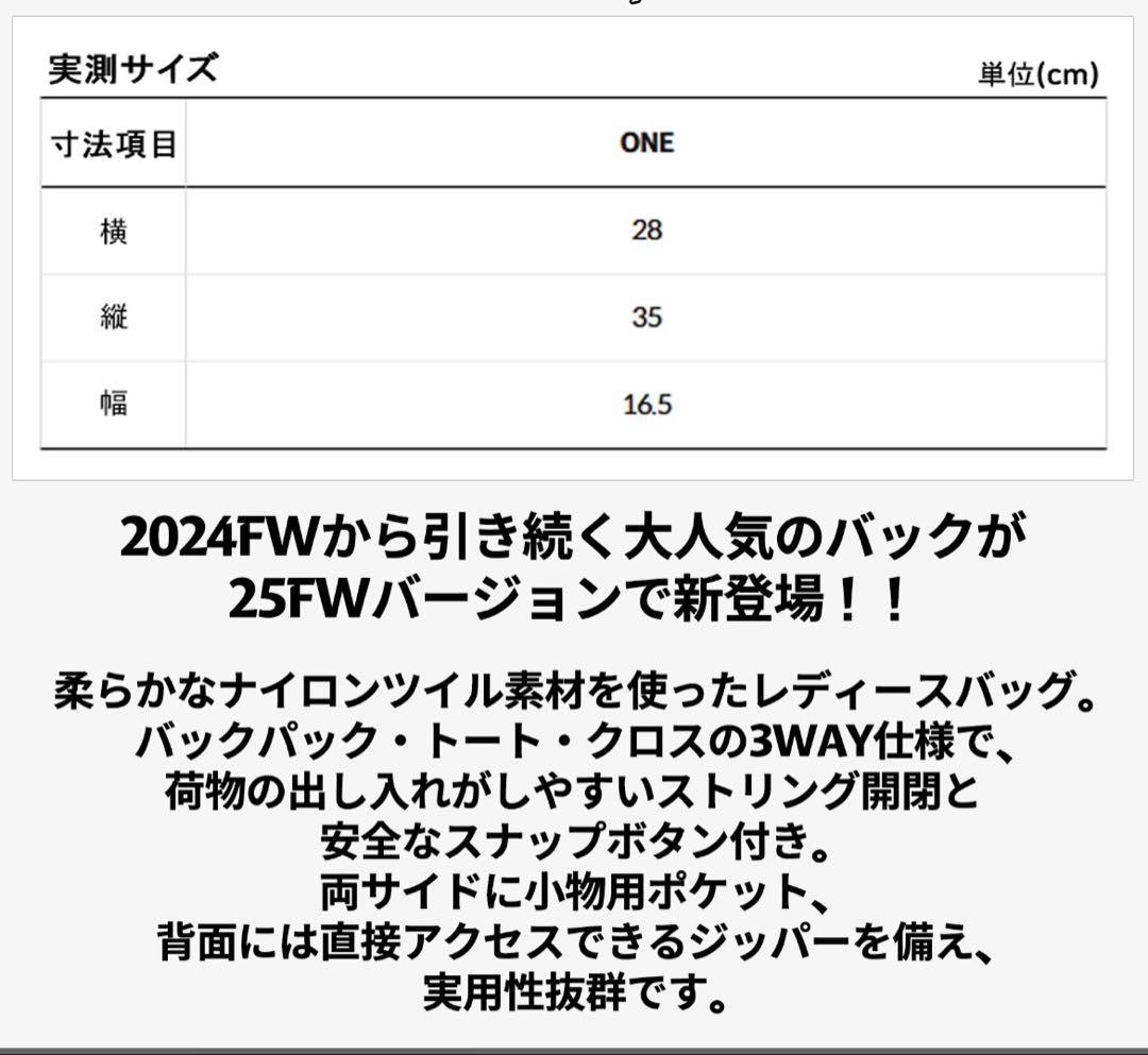 THE NORTH FACE 韓国限定3wayバッグ