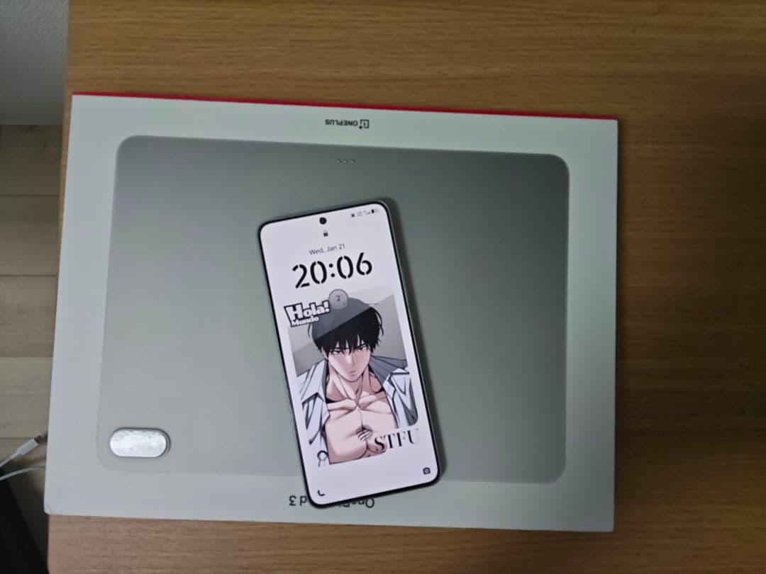 iQOO 13 12GB/256GB シルバー 中国版 美品