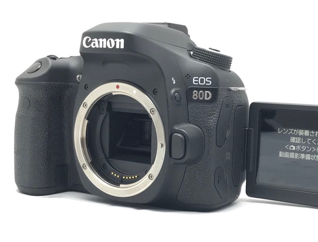 運動会応援フルセット♪Canon EOS 80D ダブルズームレンズセット♪