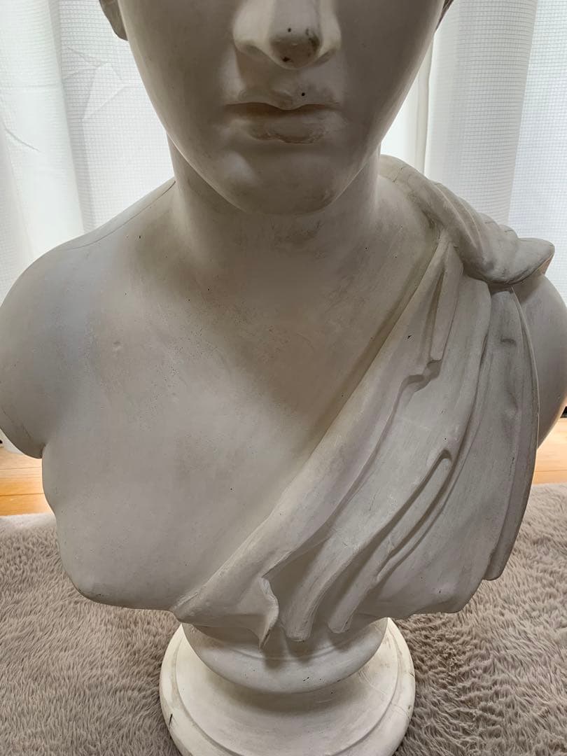 石膏像　デッサン　胸像　アマゾン