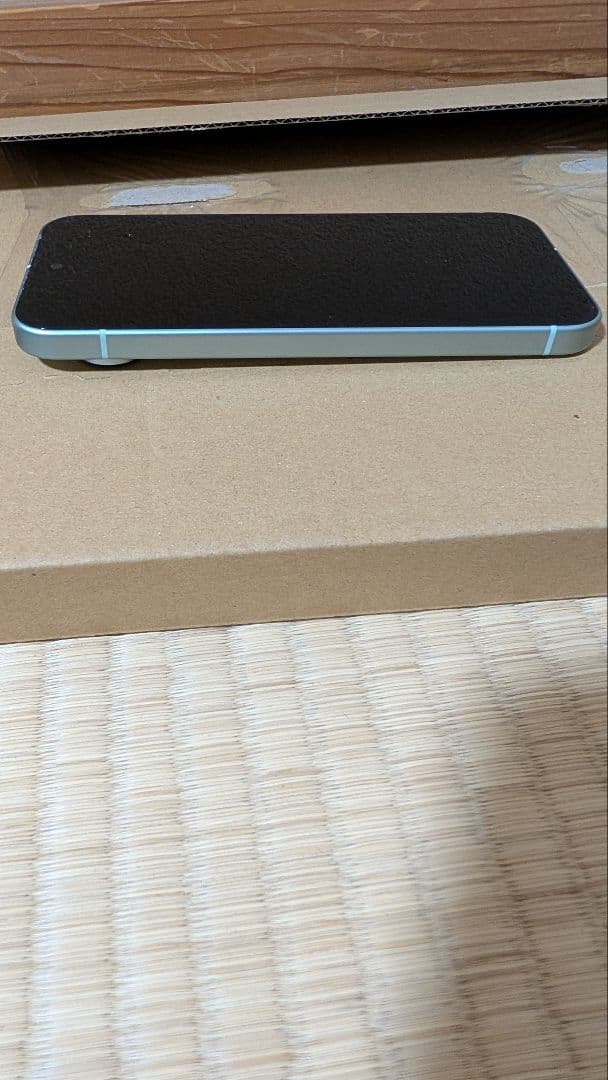 【美品】Pixel9　本体　128GB 　グリーン