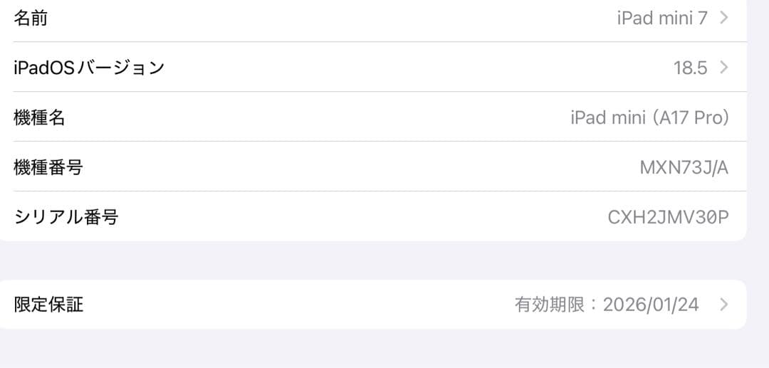 iPad mini (A17 Pro) Wi-Fiモデル 128GB ブルー