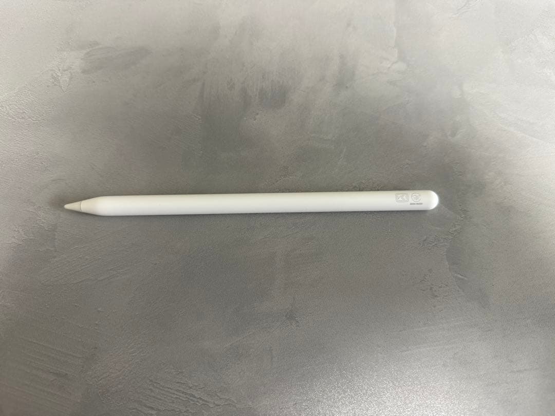 【値下げ対応不可】12.9インチiPadProWi-Fi128GBスペースグレイ