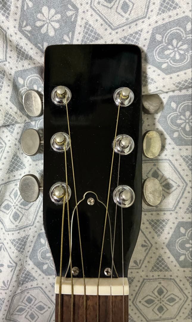 ス*ー様 アコースティックギター　アコギ　Greco【弦・ソフトケース付属】