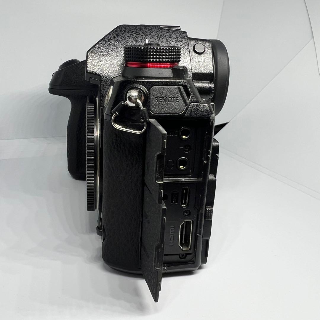 （本日限定大特価）Panasonic LUMIX S1