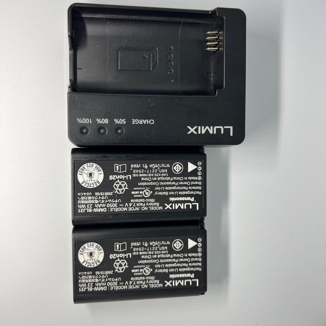 （本日限定大特価）Panasonic LUMIX S1