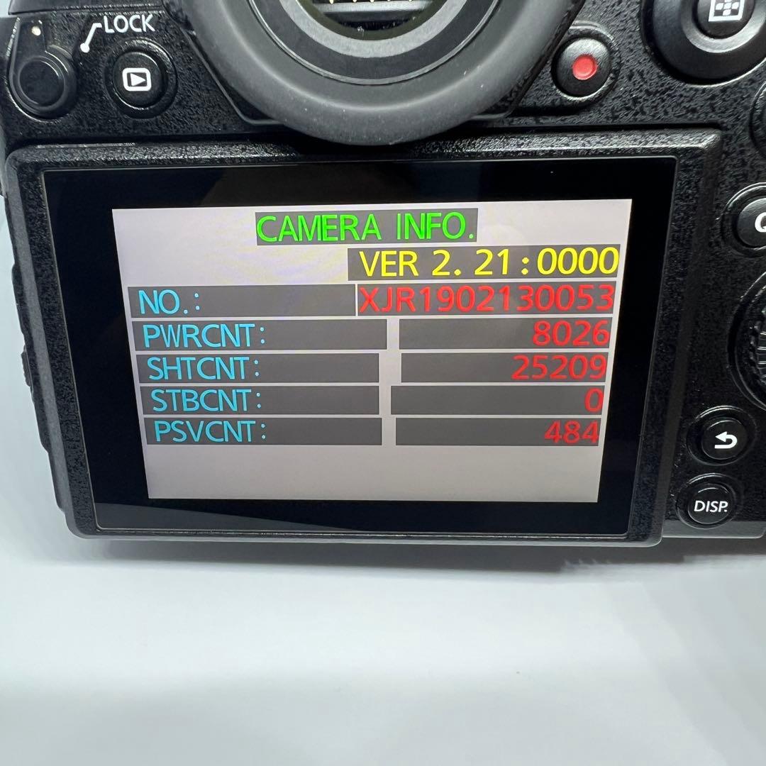 （本日限定大特価）Panasonic LUMIX S1