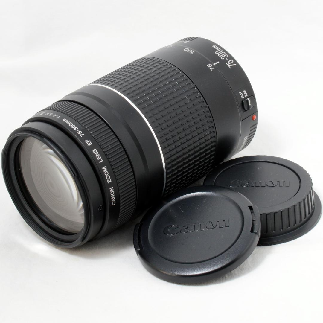 ⭐️良品⭐️Canon キャノン EF 75-300mm F4-5.6 Ⅲ
