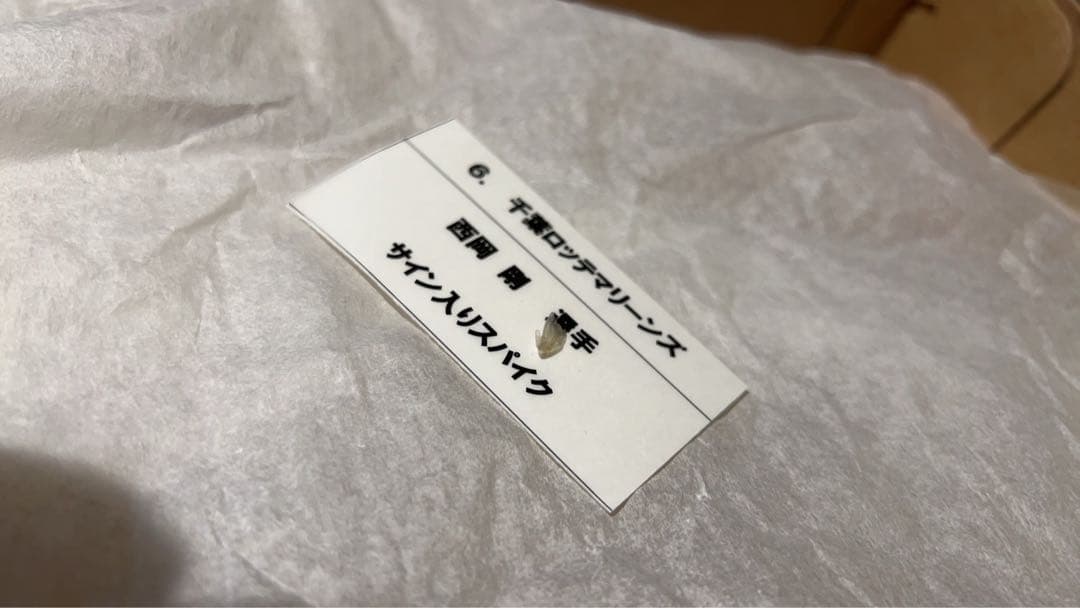 西岡剛　ロッテ時代支給品スパイク　サイン入り