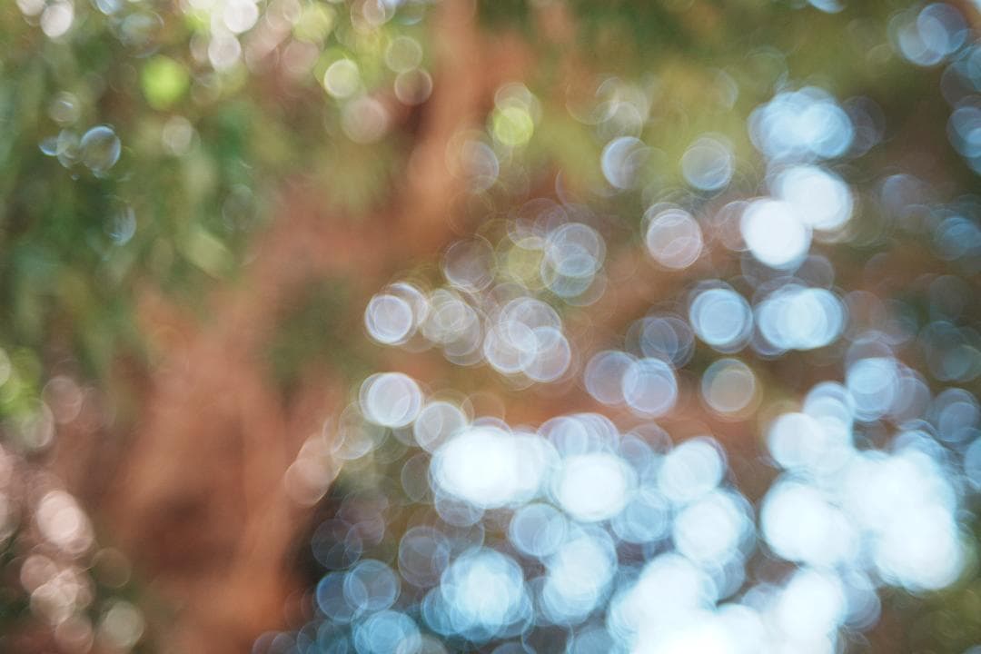 泡のようなボケで日常に彩り FUJINON 55mm F2.2 666