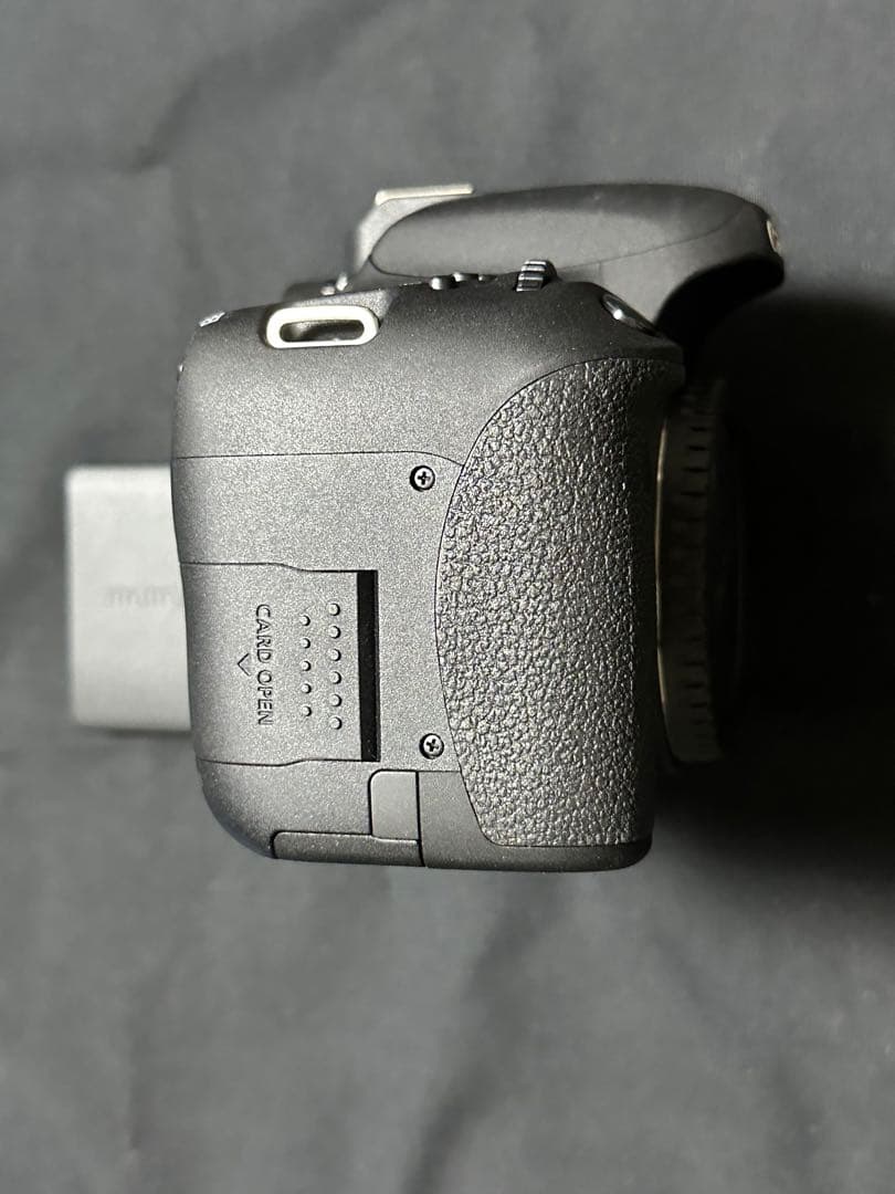 Canon EOS 8000D ダブルズームレンズセット