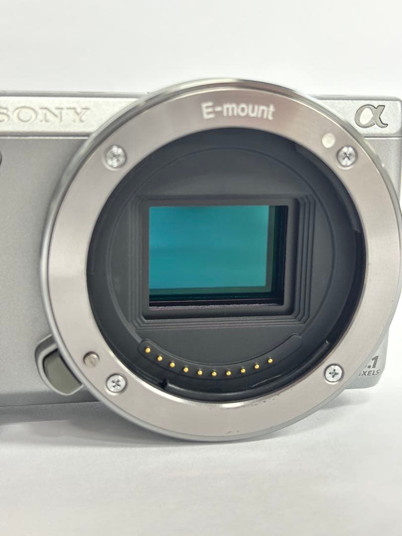 SONY NEX-5 ミラーレス一眼