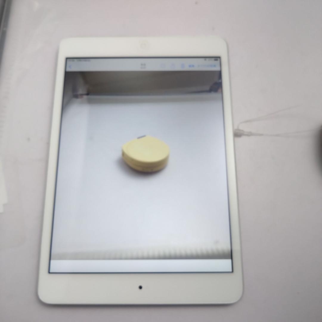 Apple iPad mini2 ME860J/A　ROM:128GB　動作中古