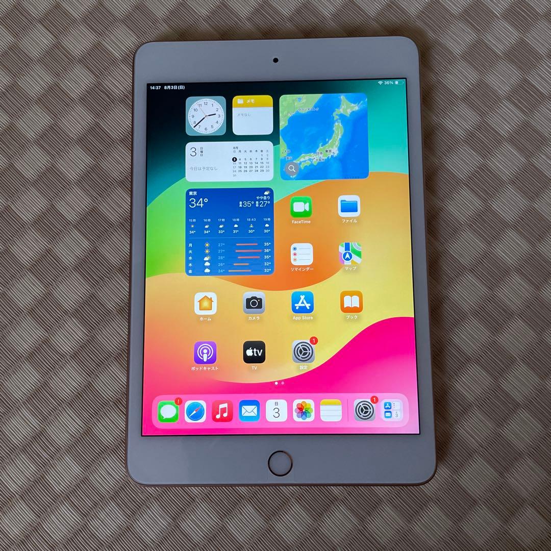 中古品 Apple iPad mini 第5世代 Wi-Fi 64GB ゴールド