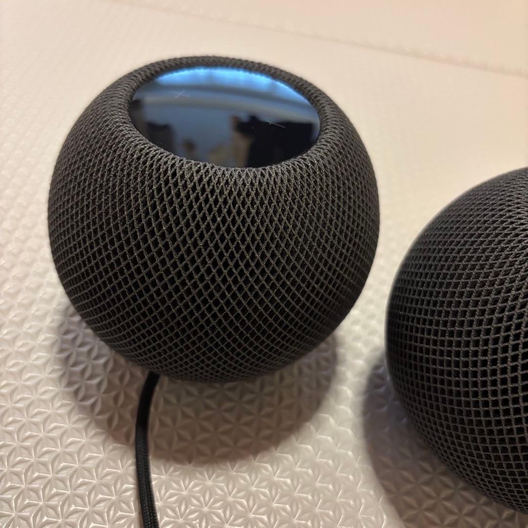 Apple Pod mini スペースグレイ スピーカー　2個セット