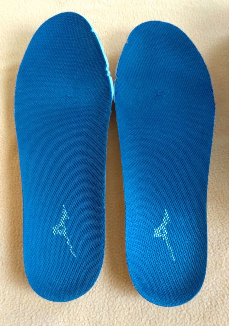 Mizuno ハイカット安全靴 26cm　Boaシステム搭載