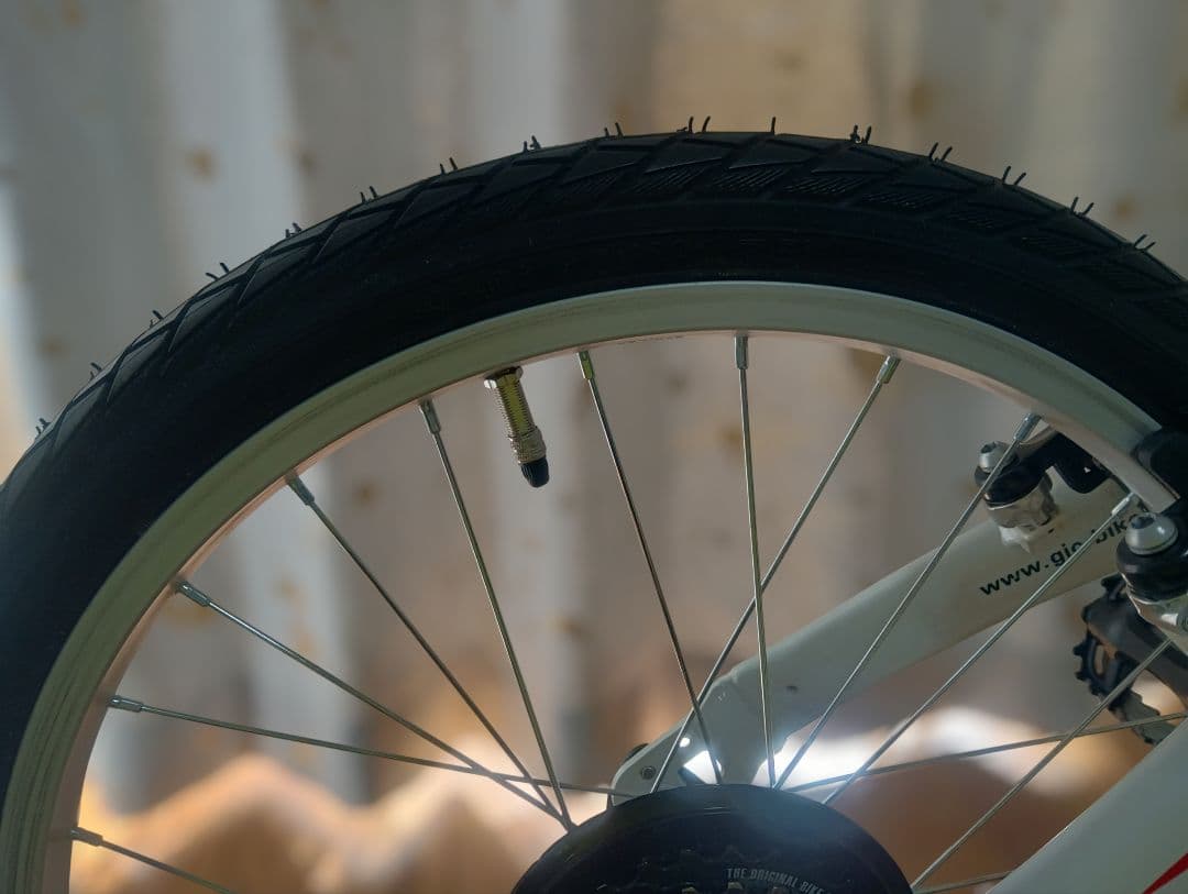 sarb035 Ferrari 折りたたみ自転車 FDB207E