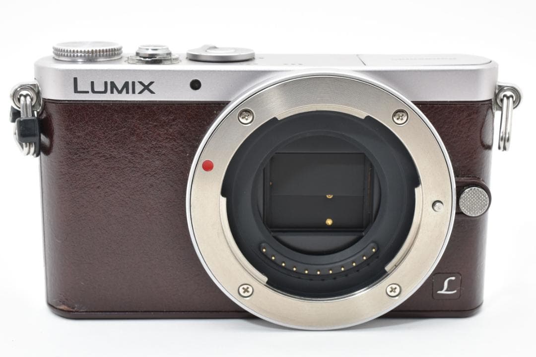 Panasonic LUMIX DMC-GM1S ミラーレス一眼カメラ ボディ