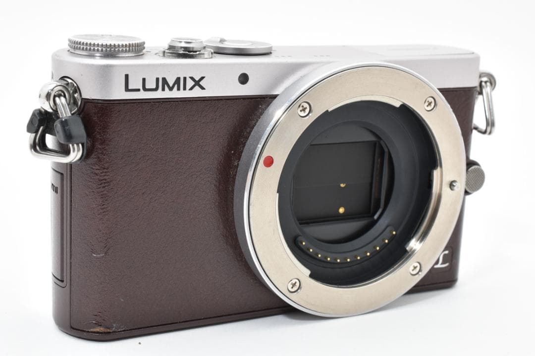 Panasonic LUMIX DMC-GM1S ミラーレス一眼カメラ ボディ