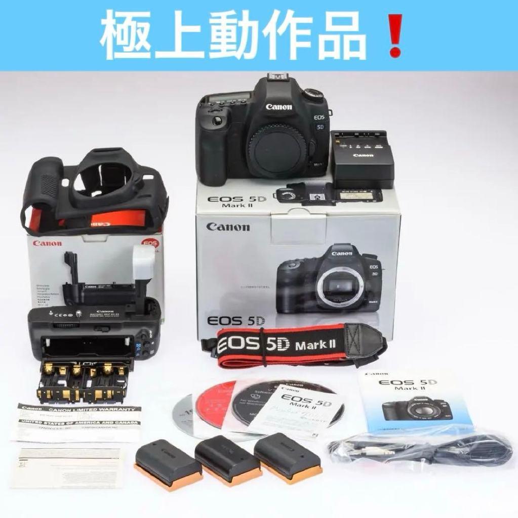 激レア！ショット数僅か3583 極上動作品！ Canon 5DMARKⅡ付属品有