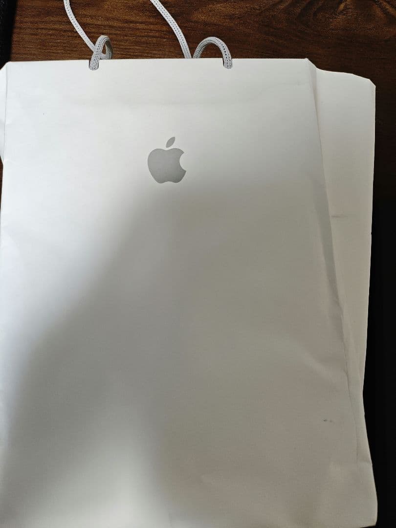 iPad 第9世代（64GB）WiFiとApple Pencil 第一世代