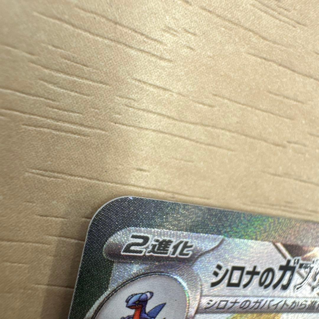 【美品】ポケモンカード シロナのガブリアスsar