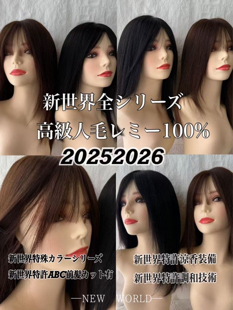 20252026新世界　人毛100%　フルウィッグ　シルクスキン　医療ウィッグ