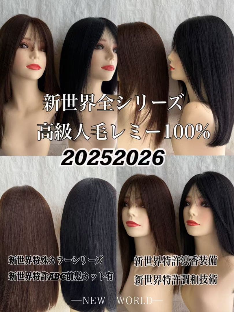 20252026新世界　人毛100%　フルウィッグ　シルクスキン　医療ウィッグ