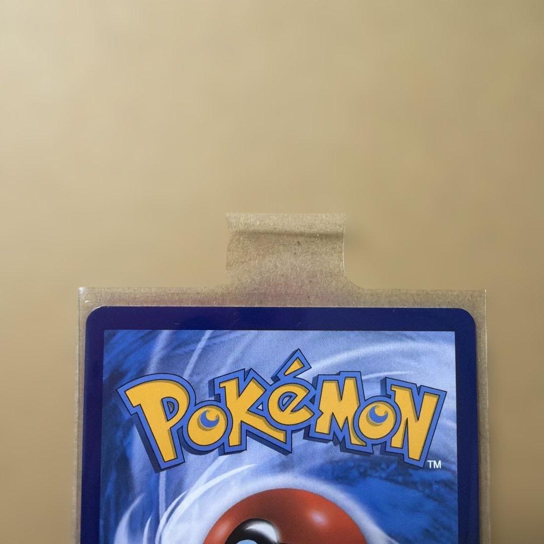 専用チリ SAR 青木　Sar 中国限定　美品 2枚　セット