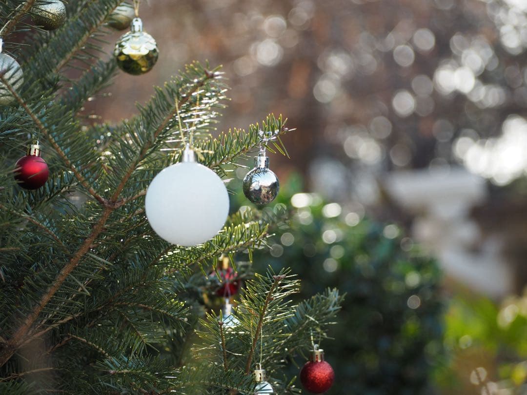 オリンパス PL7 ミラーレス一眼