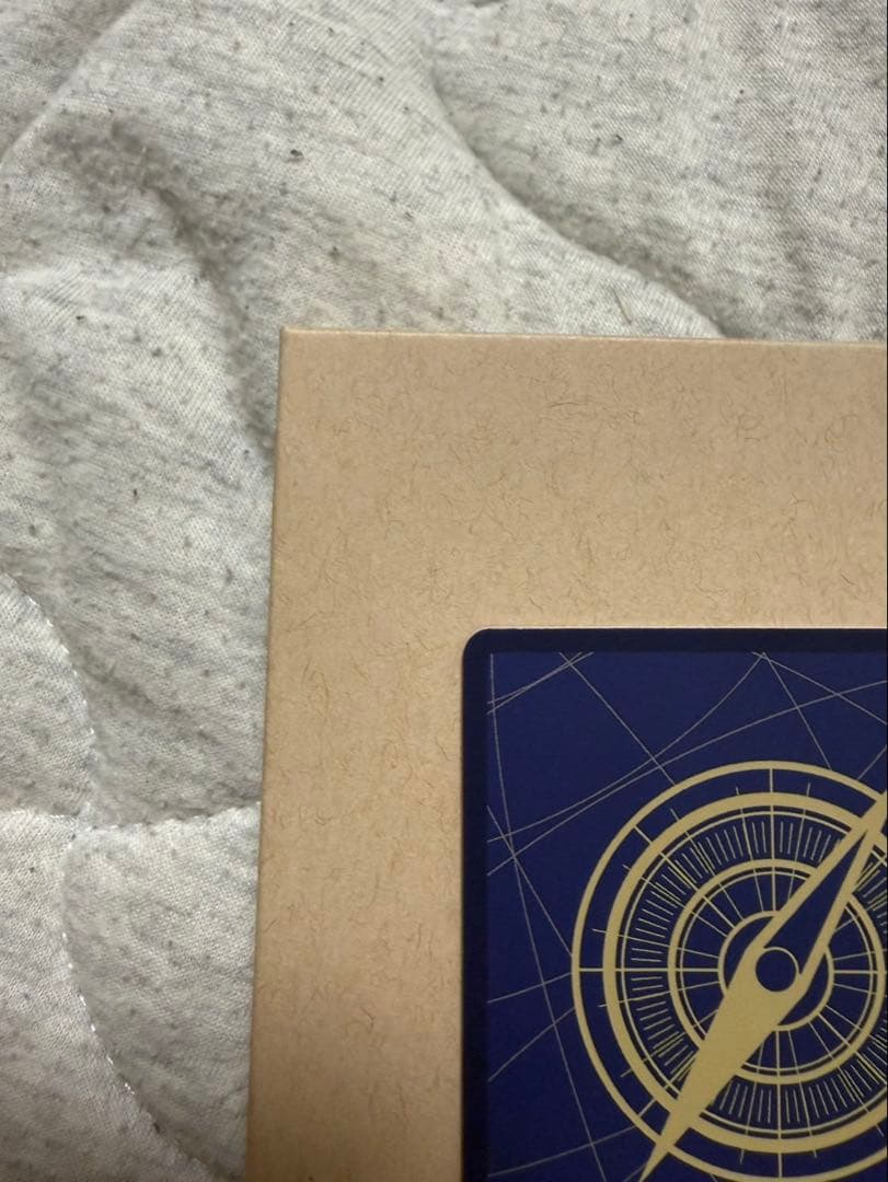 モンキー・D・ルフィ：手配書 SEC-SPC