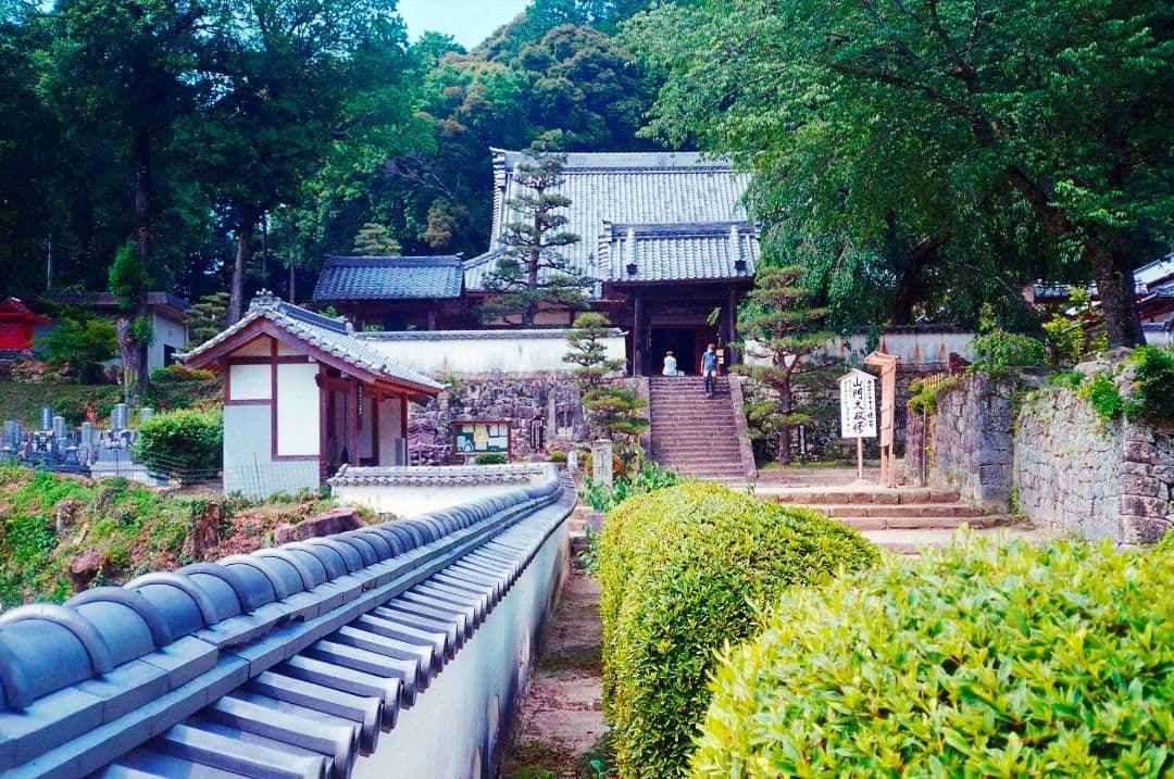 FUJI CARDIA Travel mini OP フィルムカメラ