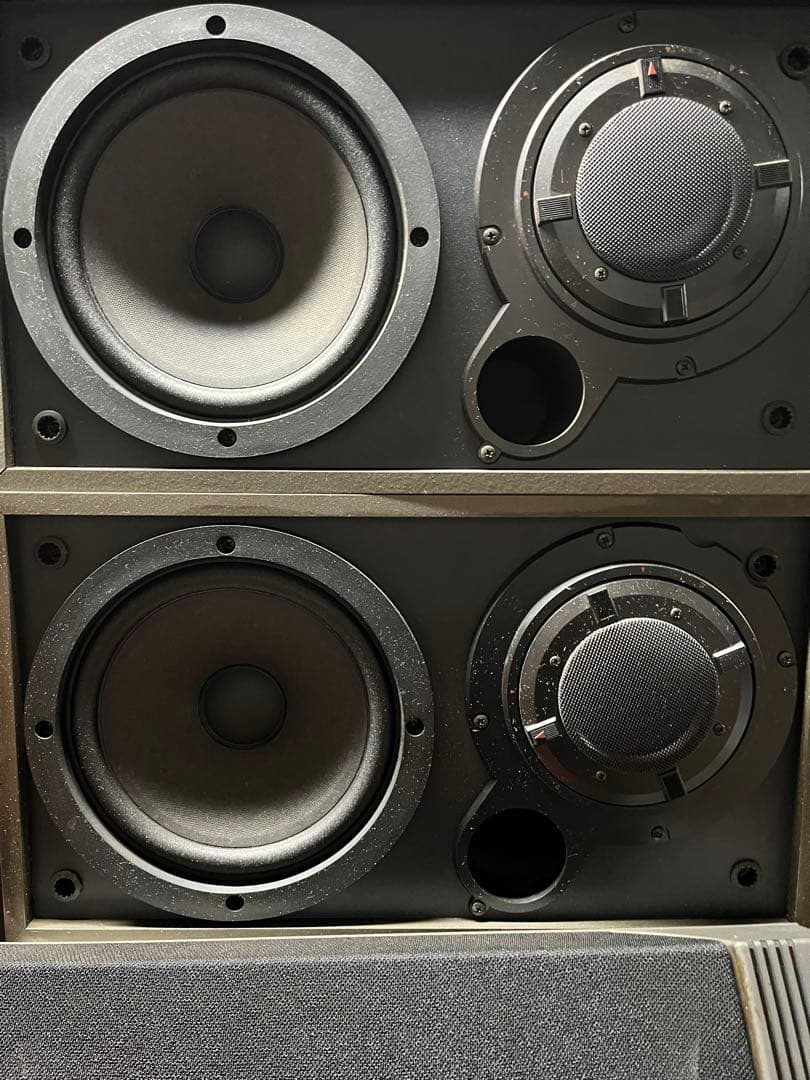 Pioneer CS21LR な難あり