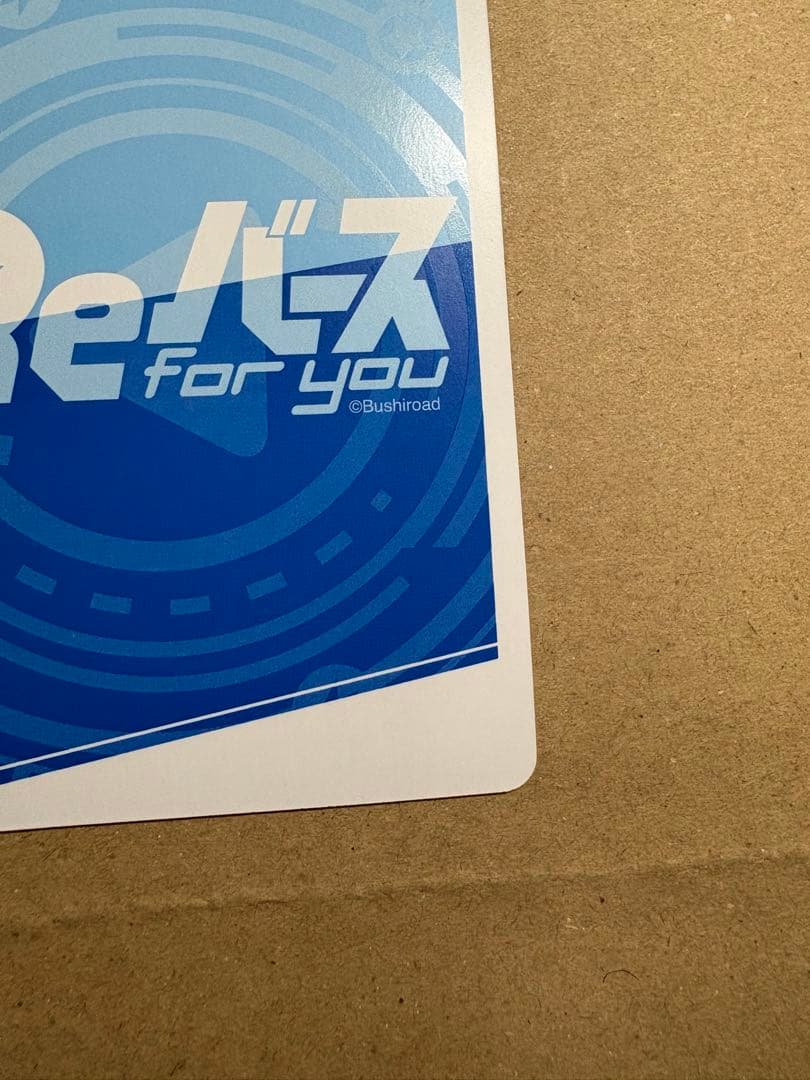 Re.バース ビスマルクZwei PP