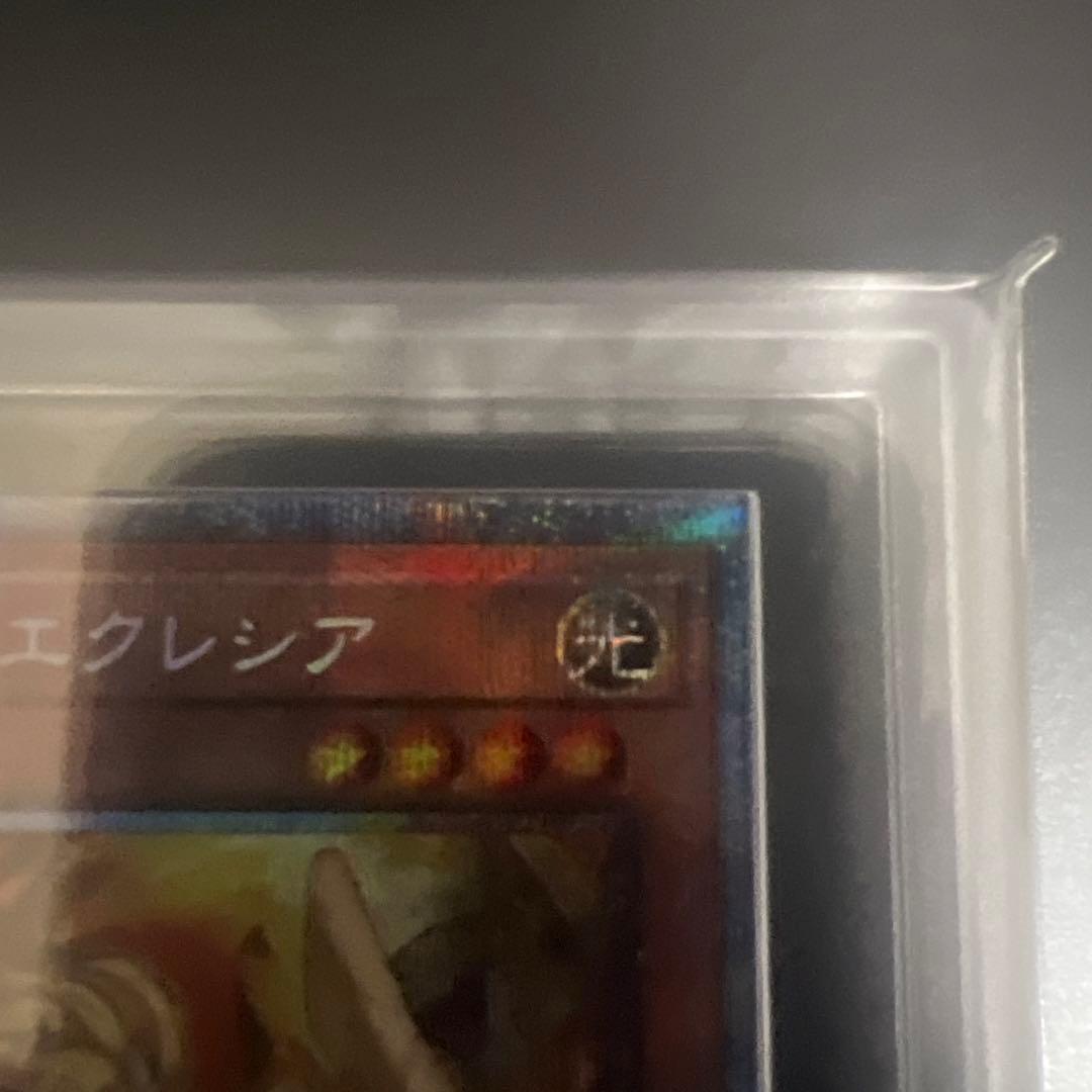 【ARS10〜10+】遊戯王　白の聖女エクレシア　イラスト違いセット