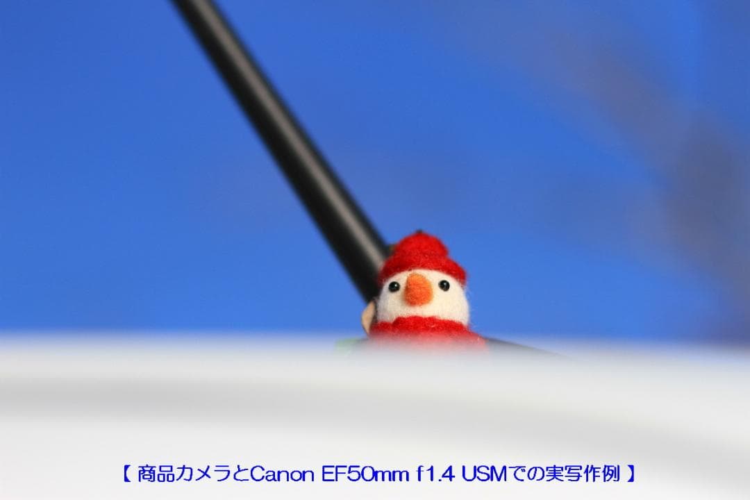 Canon EOS 7D シャッター回数少なく美品