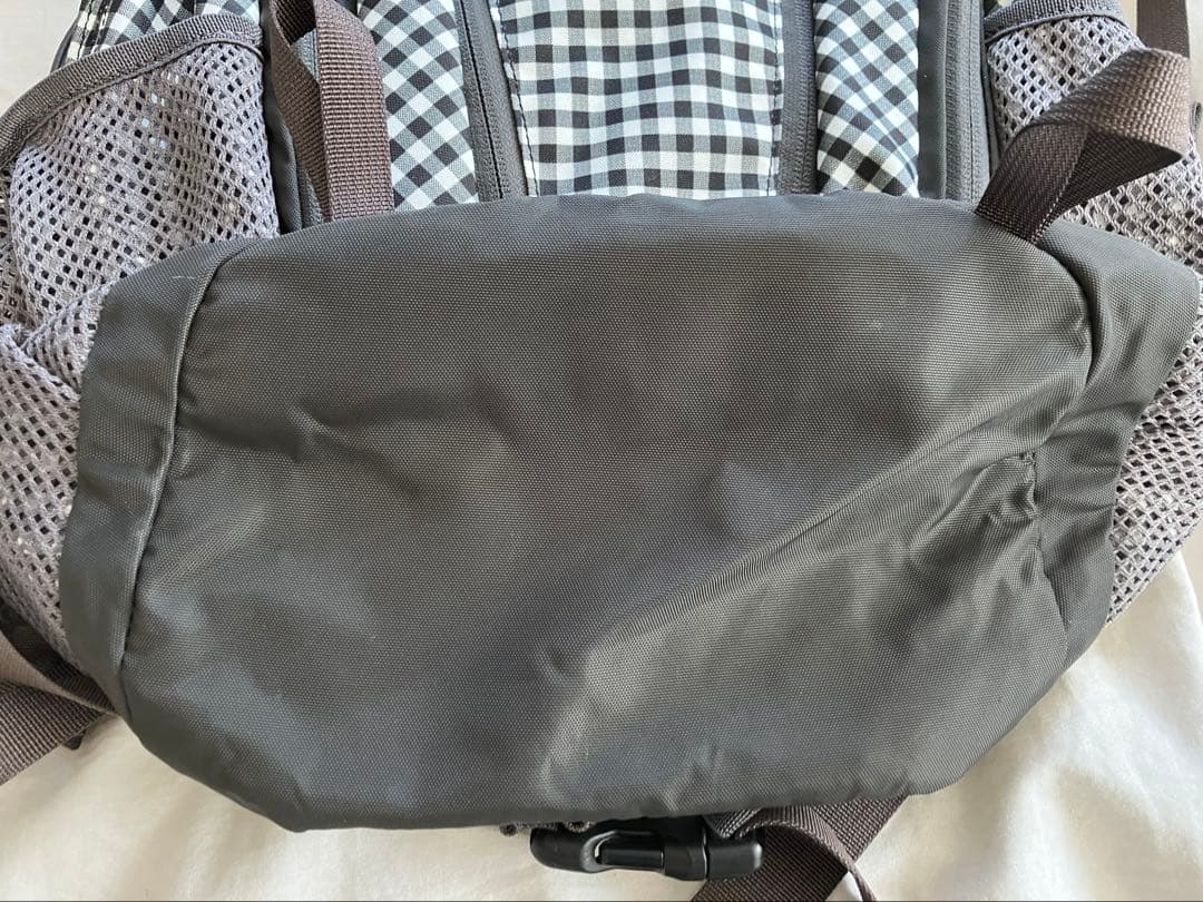 ノースフェイス　リュック　バックパック　ギンガムチェック　レディース