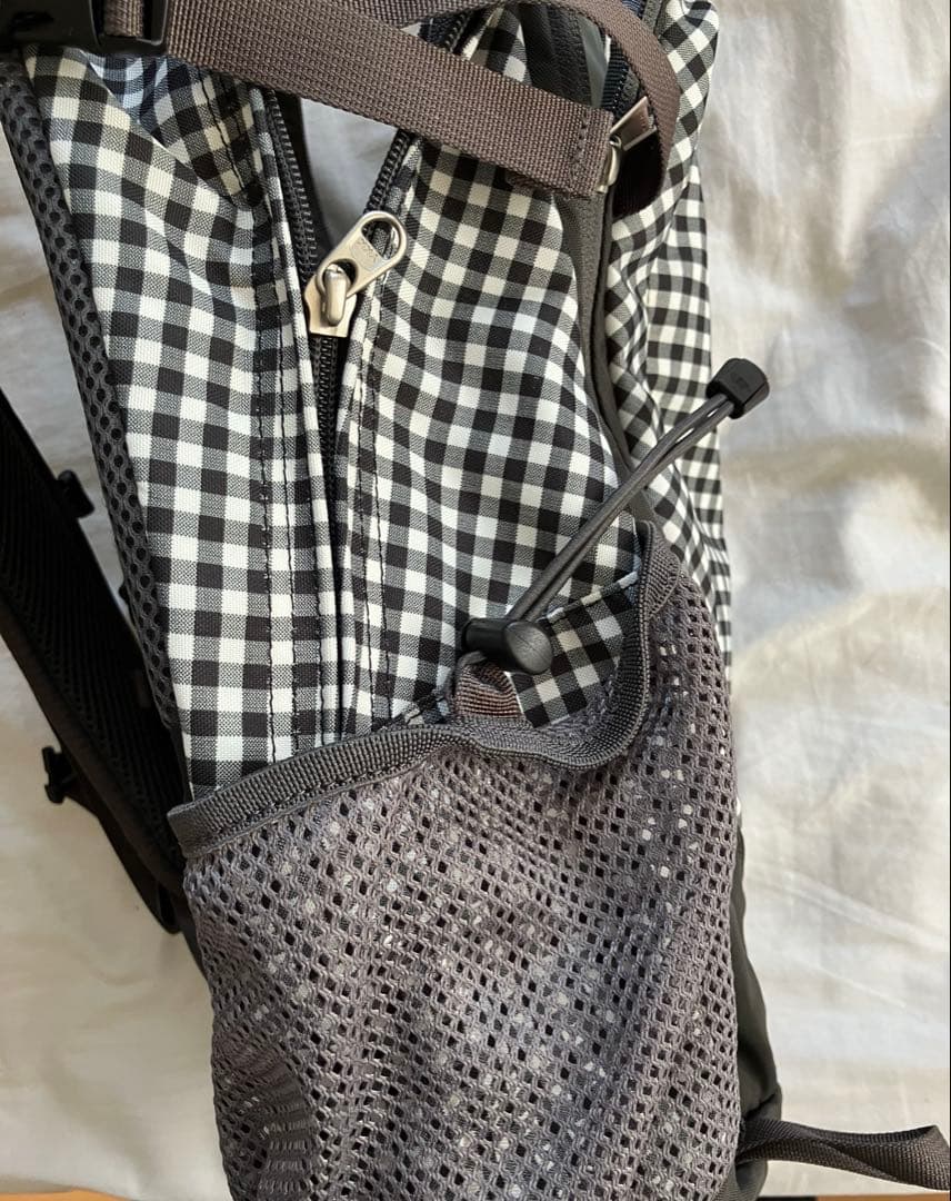 ノースフェイス　リュック　バックパック　ギンガムチェック　レディース