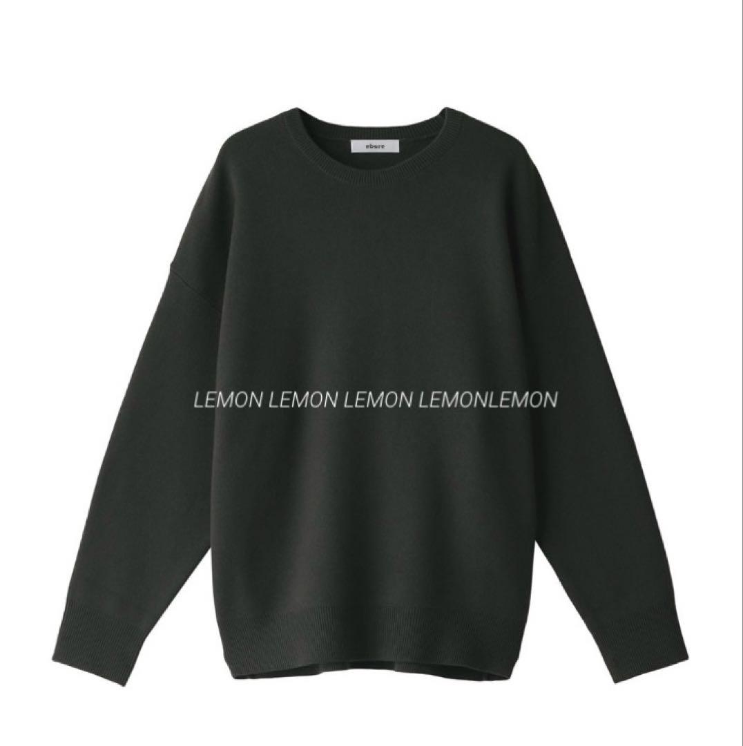 エブール ebureソフトスムースニット クルーネックプルオーバ◆39,600円