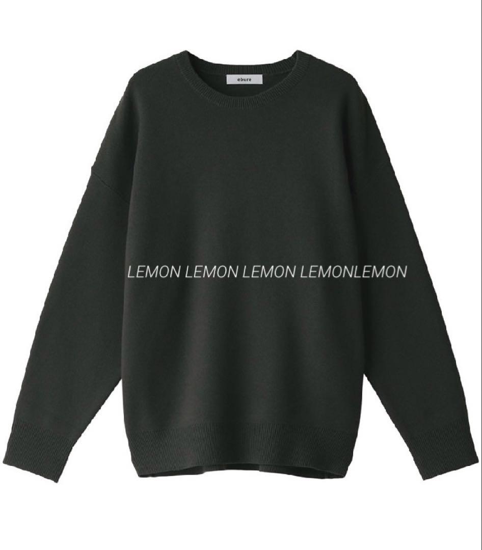 エブール ebureソフトスムースニット クルーネックプルオーバ◆39,600円