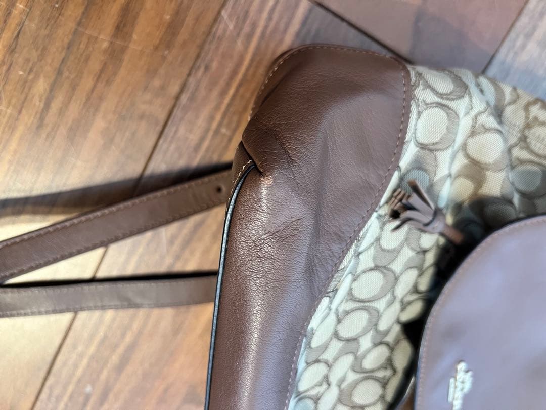 コーチ　F73313 シグネチャー レザー リュック バックパック