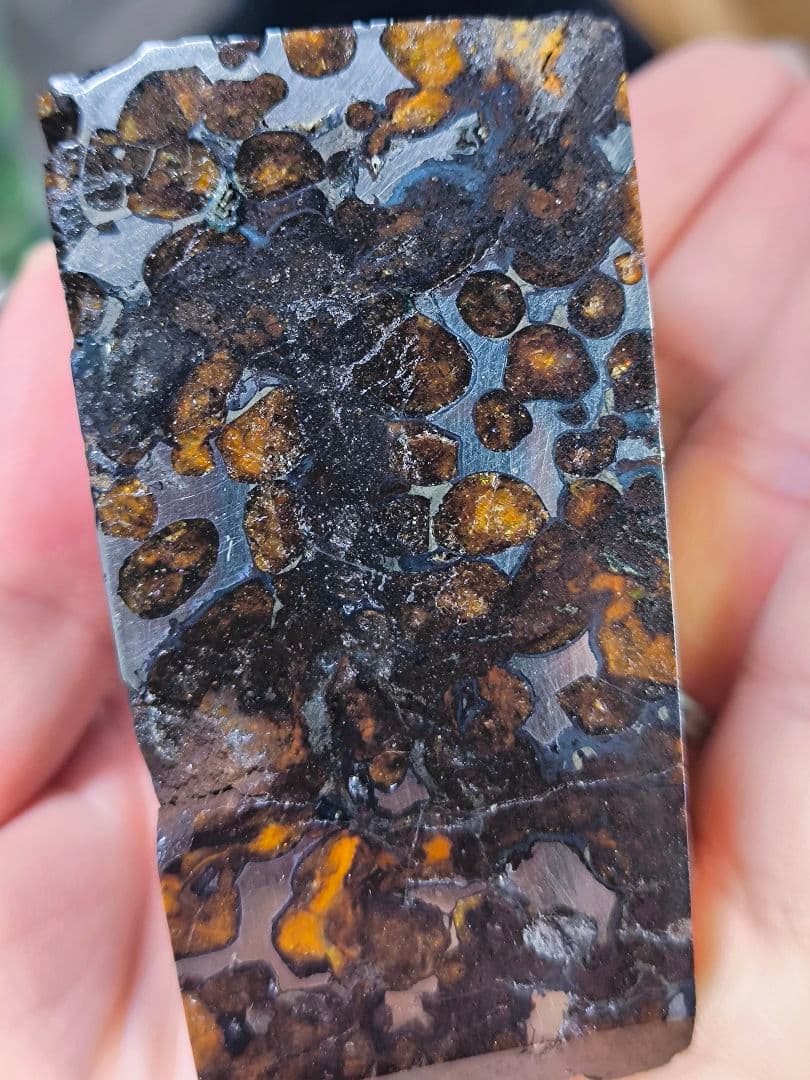 大型 セリコ隕石 435g 外皮付き パラサイト 石鉄隕石