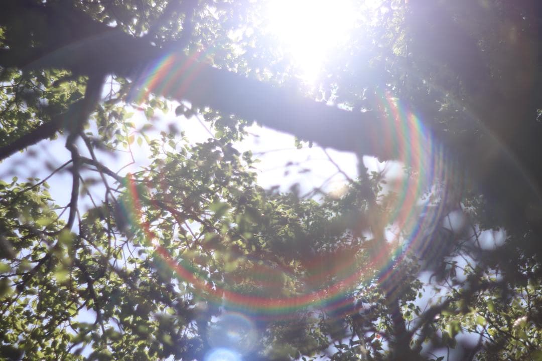 インスタ映えレンズ PENTAX Super-Takumar 55mm F1.8