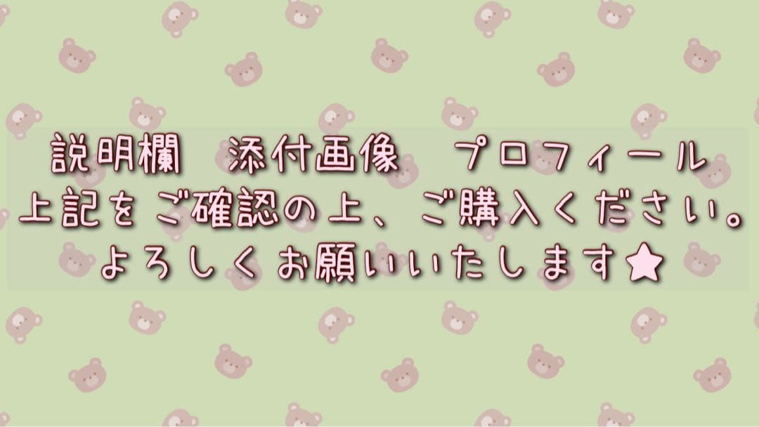 【SALONIA】ピュアブライトスチーマー フェイススチーマー ミスト 美容