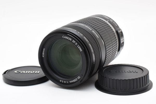 極上品 Canon EF-S 55-250mm F4-5.6 IS AA3165