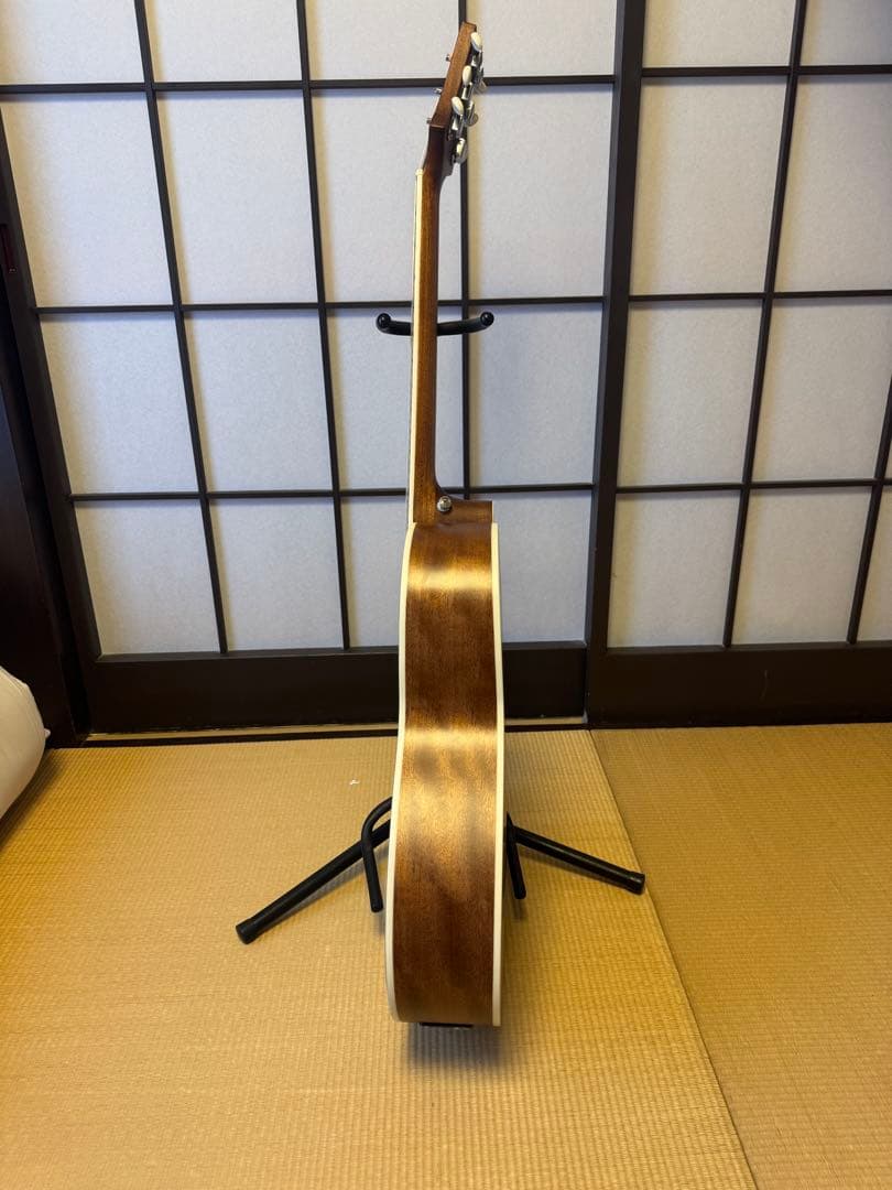 PRS ギター　P20E