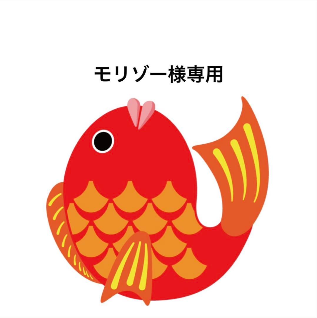 モリゾー　タイラバ　タングステン　目あり無垢