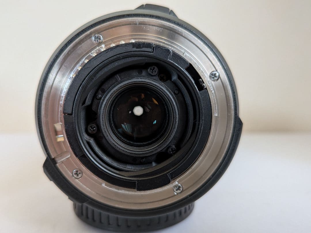 【ショット数 1308枚】Nikon D7000 高倍率レンズ 一眼レフデビュー